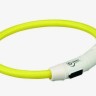 Ошейник светящийся для собак USB (6-ти расцветок) 30 см 