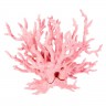 Коралл пластиковый малый 17 х 6 х 13 см, голубой, розовый