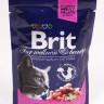 Brit Premium (Брит Премиум) Пауч для взрослых кошек с лососем и форелью 85 г 5 шт