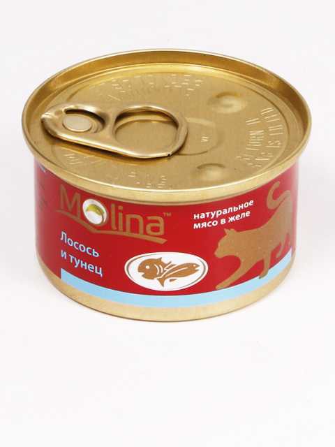Molina (Молина) Консервы для кошек и котят с тунцом в соусе 70 г