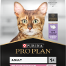 Pro Plan (ПроПлан) Delicate - Корм для кошек с чувствительной Кожей и Пищеварением с Индейкой 400 г