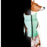 COLLAR AiryVest Lumi куртка д/собак двусторонняя светящаяся, салатово-голубая, размер XS 25