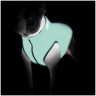 COLLAR AiryVest Lumi куртка д/собак двусторонняя светящаяся, салатово-голубая, размер S 30