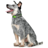 Hunter oшейник для собак Convenience Comfort 35 / XS-S (22-30 см) / 2 см биотановый мягкая горловина яблочный зеленый