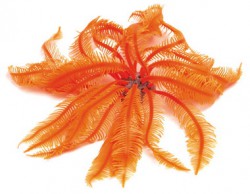 Мягкий коралл в аквариум Dezzie 4,5x4,5x12 см, силикон