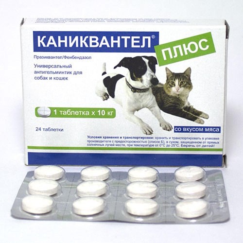 каниквантел плюс 1таб -Дехинел Плюс аналог