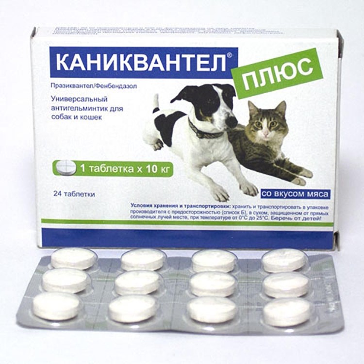 каниквантел плюс 1таб -Дехинел Плюс аналог