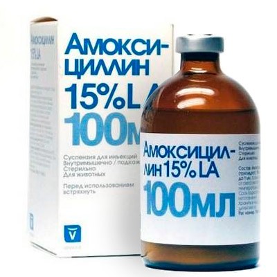 Invesa Амоксициллин 15% 100 мл