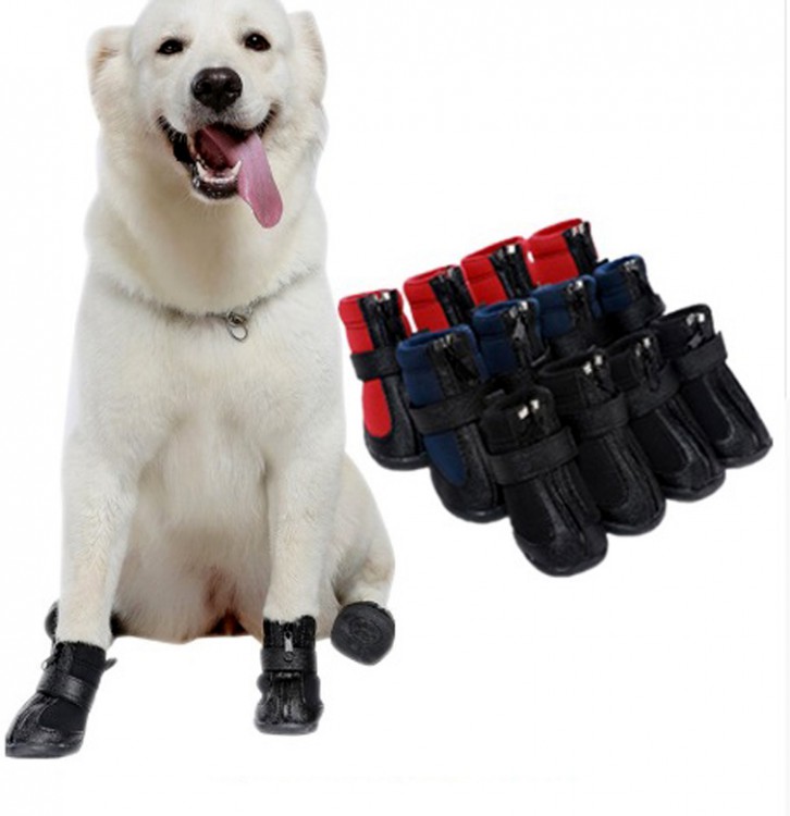 Спортивные водонепроницаемые ботинки для собак