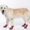 Спортивные водонепроницаемые ботинки для собак