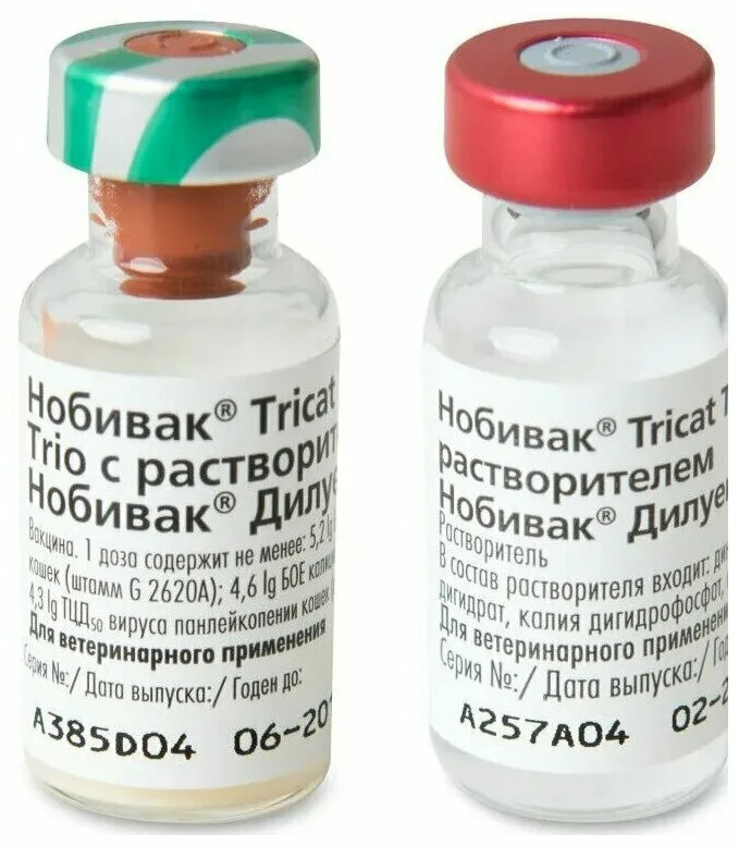 Нобивак (Nobivac) Tricat Trio 1 доза + растворитель, 1 мл