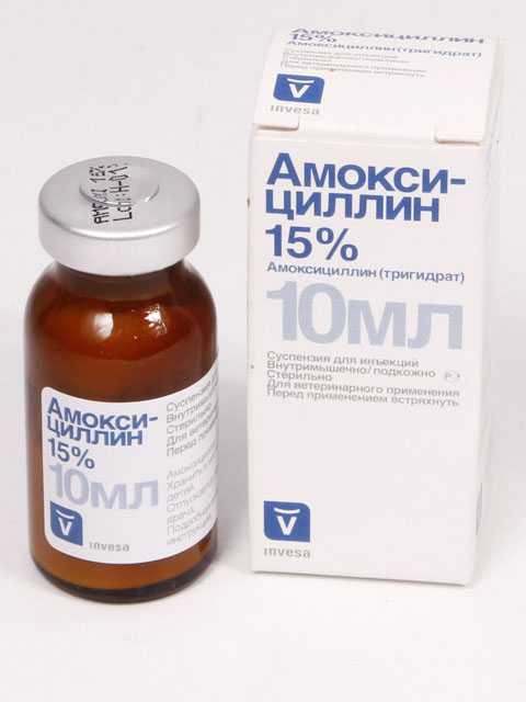Invesa Амоксициллин 15% 10 мл