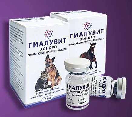 Гиалувит Хондро раствор для инъекций 2 мл