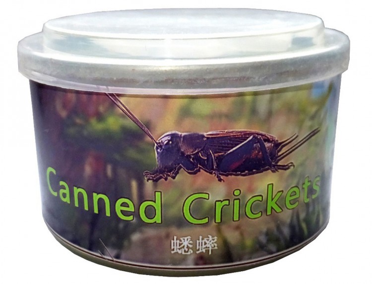 Crickets - Сверчок консервированный 35 гр.