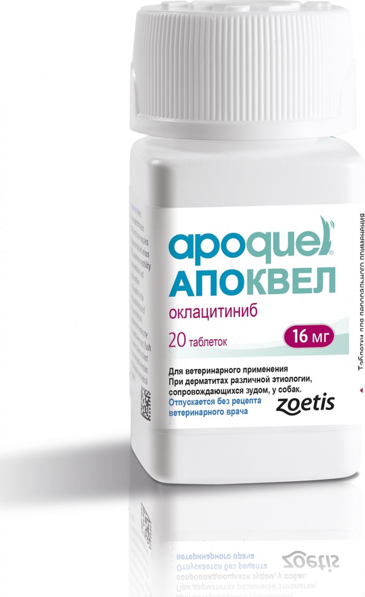 apoquel 16
