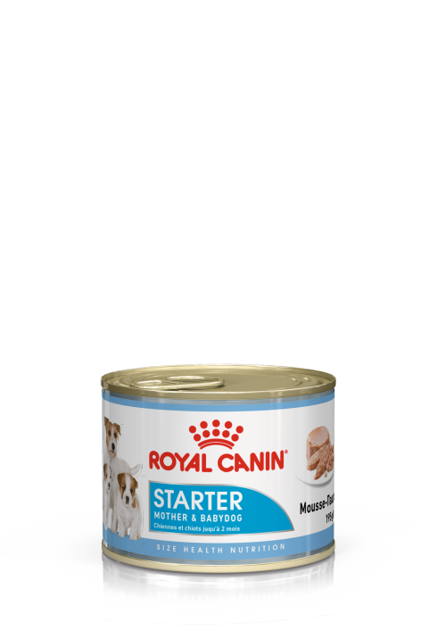 Royal Canin (Роял Канин) Starter Mousse Консервы для собак в период беременности и лактации и щенков до 2 месяцев в муссе 195 г