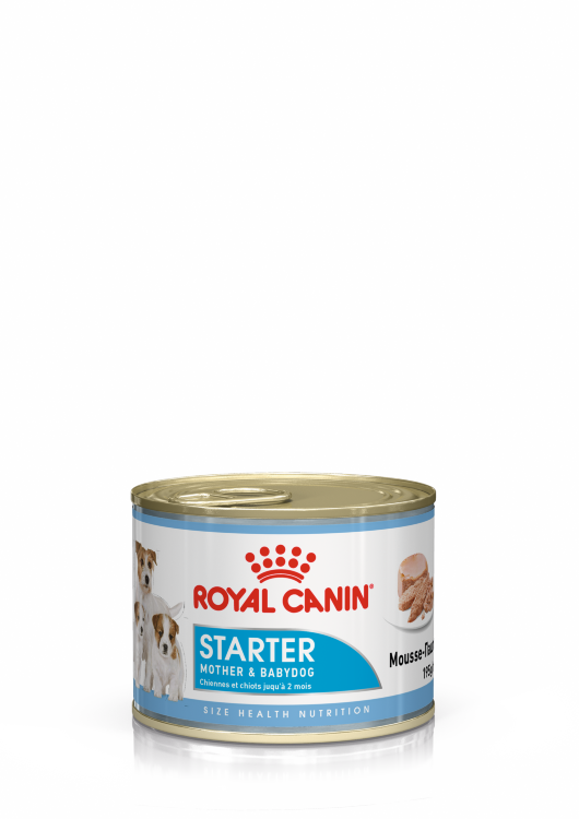 Royal Canin (Роял Канин) Starter Mousse - Корм для собак в период Беременности - Лактации и щенков до 2 месяцев в Муссе 195 гр