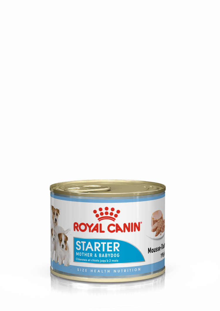 Royal Canin (Роял Канин) Starter Mousse Консервы для собак в период беременности и лактации и щенков до 2 месяцев в муссе 195 г