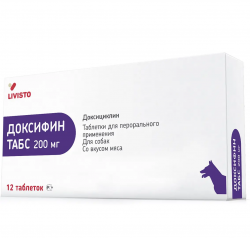 Доксифин 200 мг 12 табл