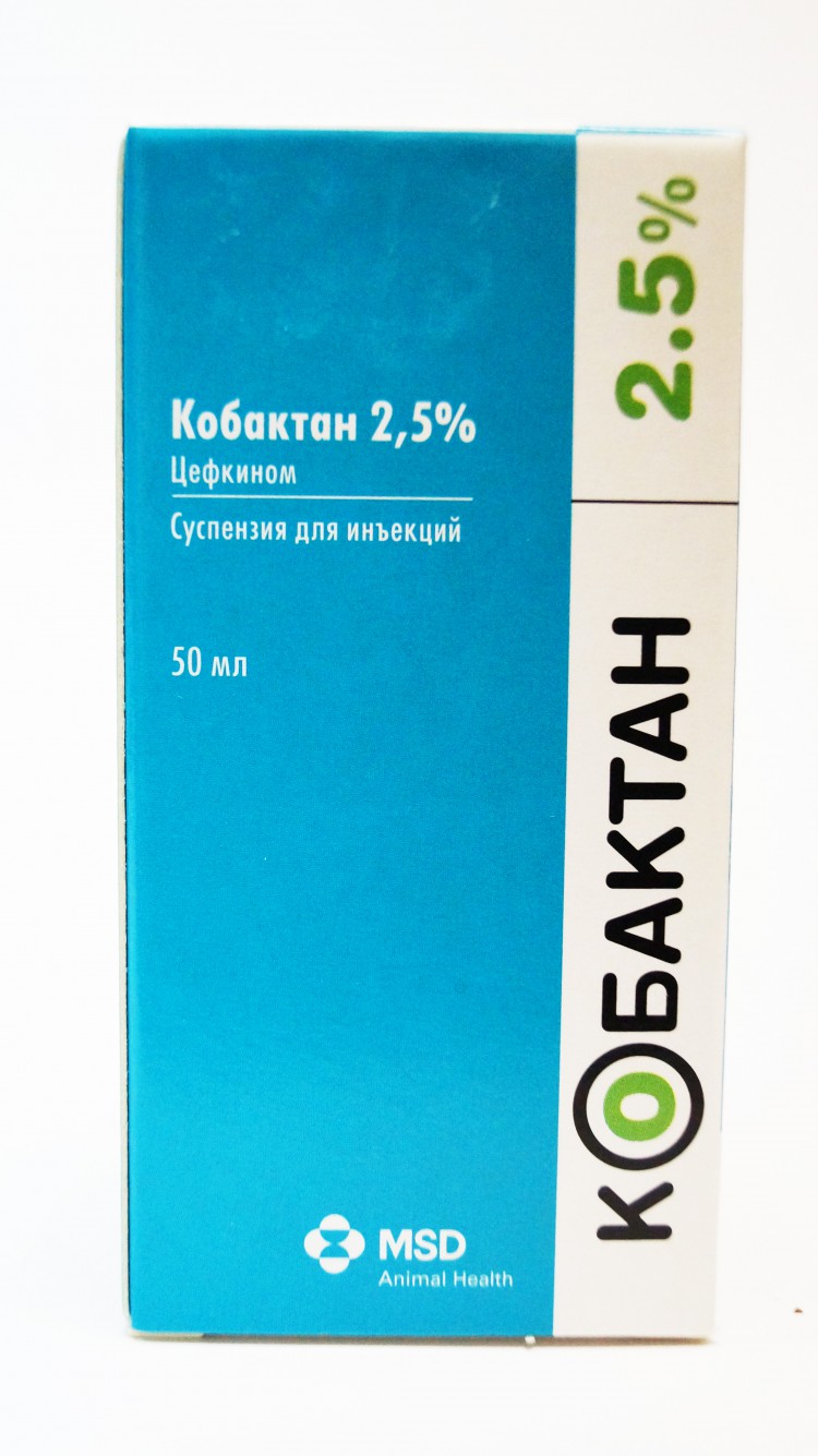 Кобактан суспензия. Кобактан 50 мл. Кобактан шприц. Кобактан 2,5%.