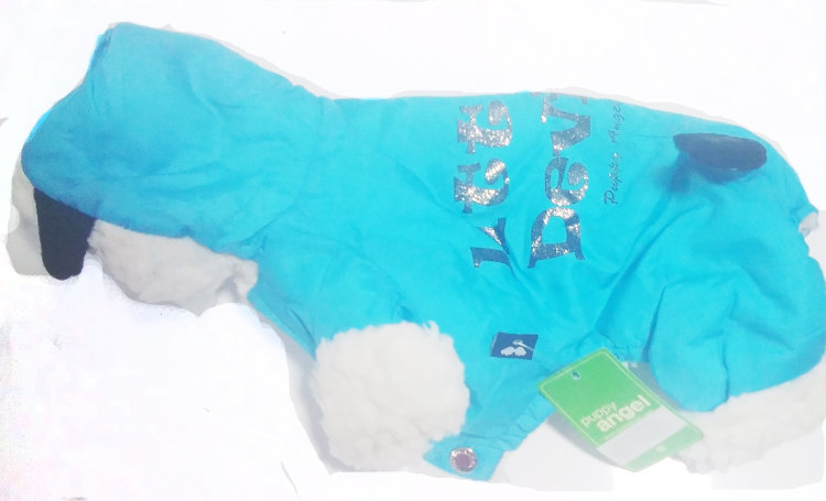 Puppy angel Little devil комбинезон теплый голубой с черными рожками Маленький дьявол S