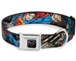 Buckle-Down Ошейник для собак с металлической застежкой Супермен-герой Метрополиса мультицвет 23-38 см