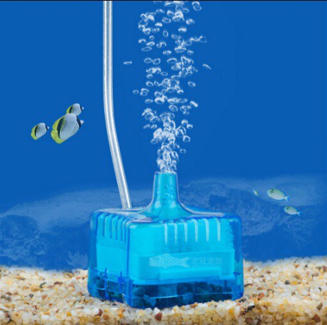 Чем опасны угольные фильтры для растительных аквариумов? Детально разбираемся в тонкостях