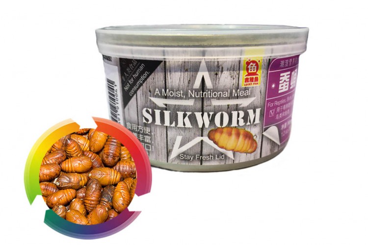 Silkworm - Тутовый шелкопряд консервированный 35 гр.
