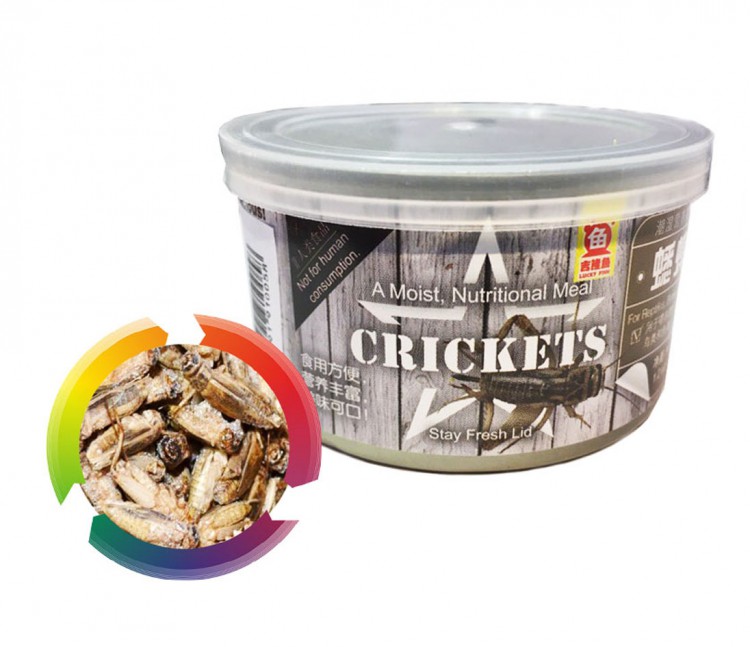Crickets - Сверчок консервированный 35 гр.