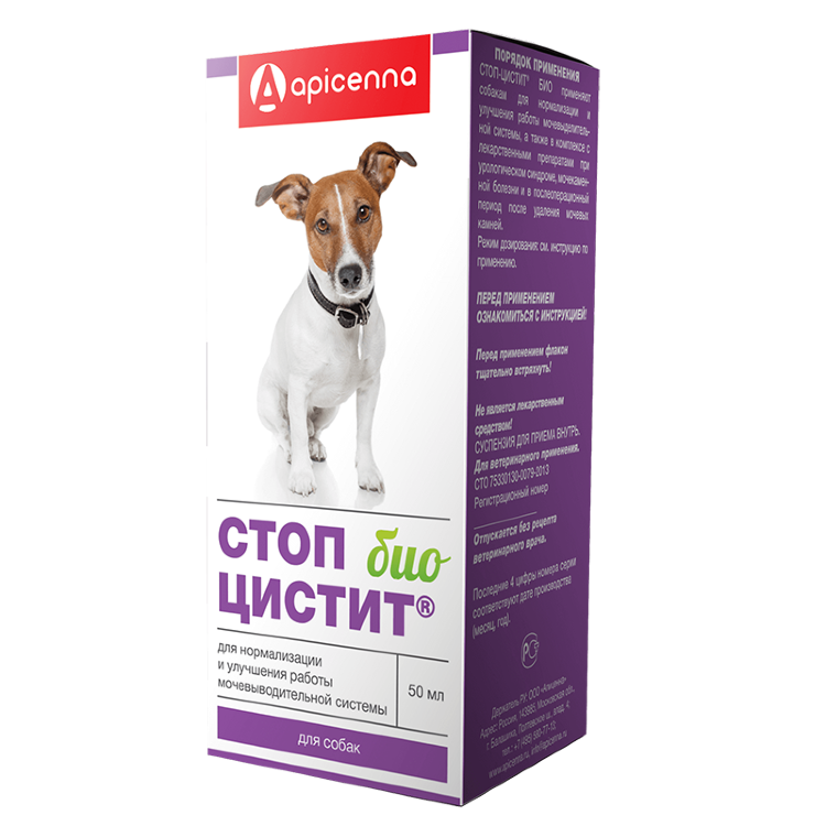 Стопцистит для котов